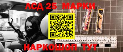 СК Новозыбков