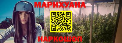 СК Новозыбков