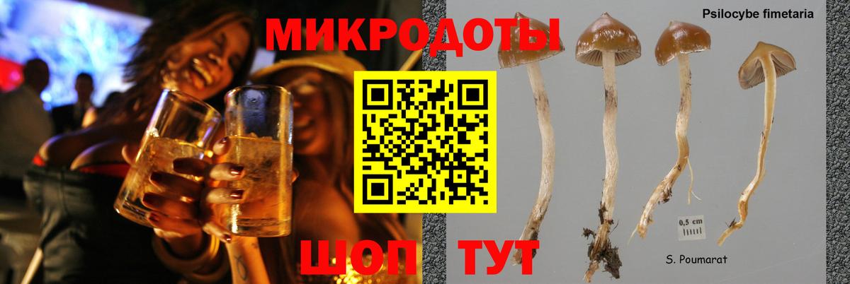 Югорск  Галлюциногенные грибы Cubensis  Псилоцибиновые грибы Cubensis  Вход с VPN 